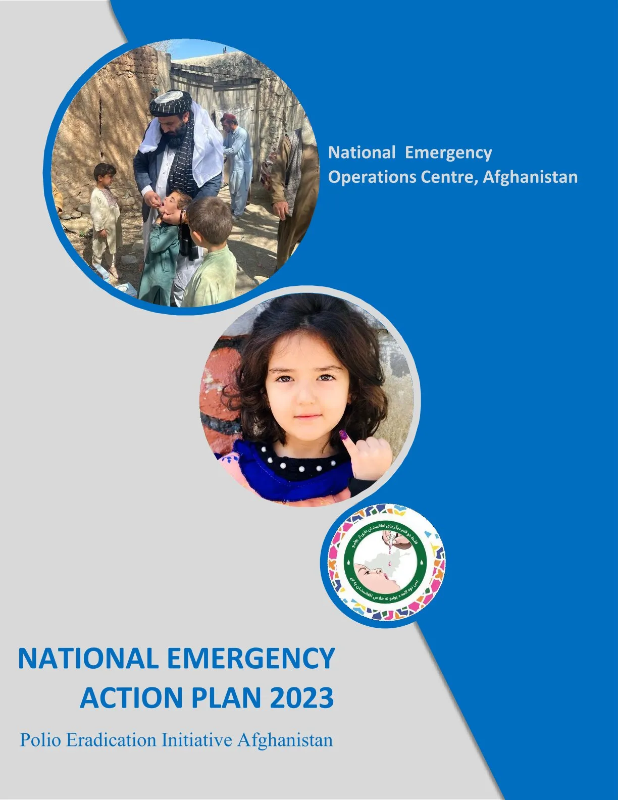 National Emergency Action Plan 2023 (English)
