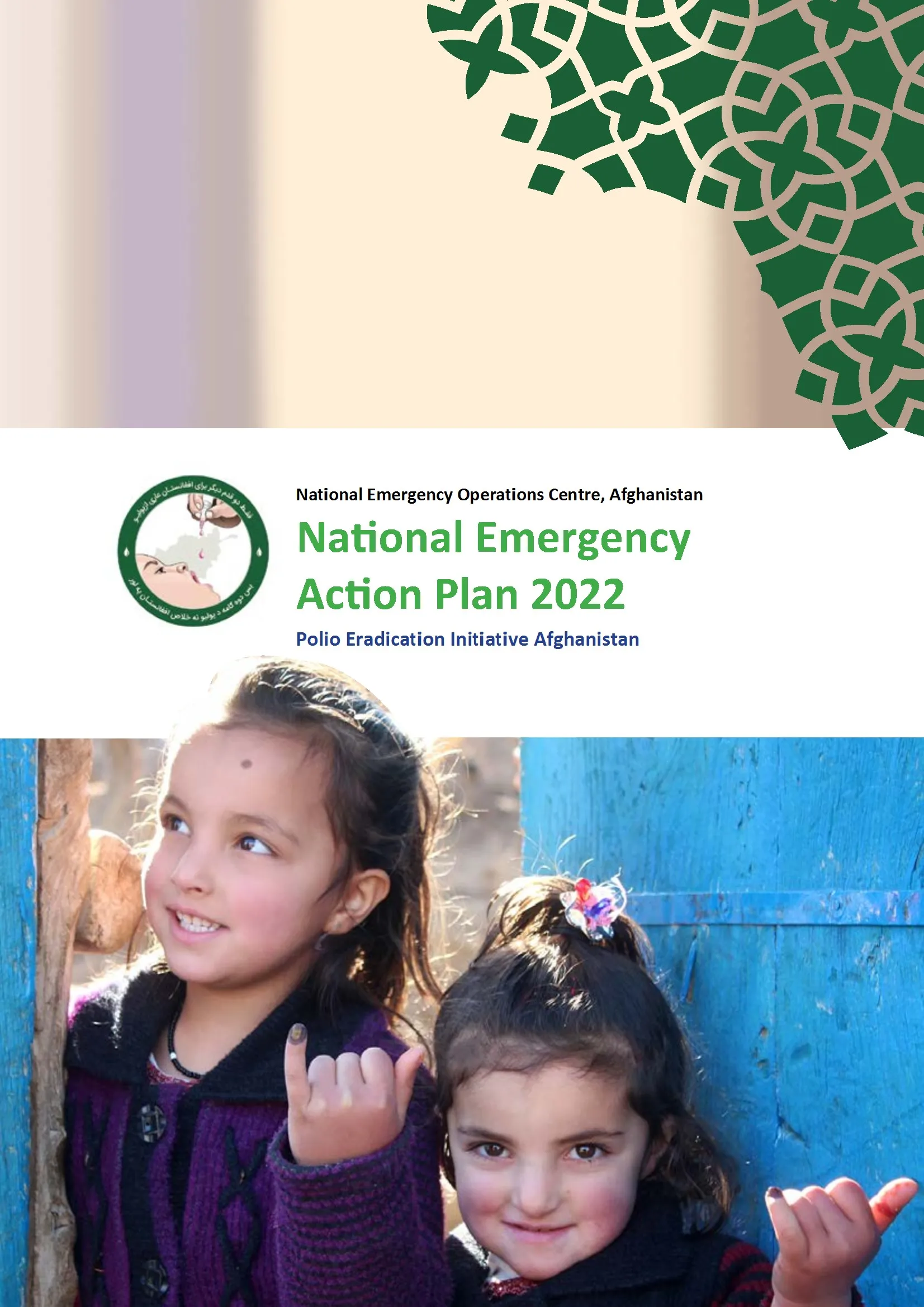 National Emergency Action Plan 2022