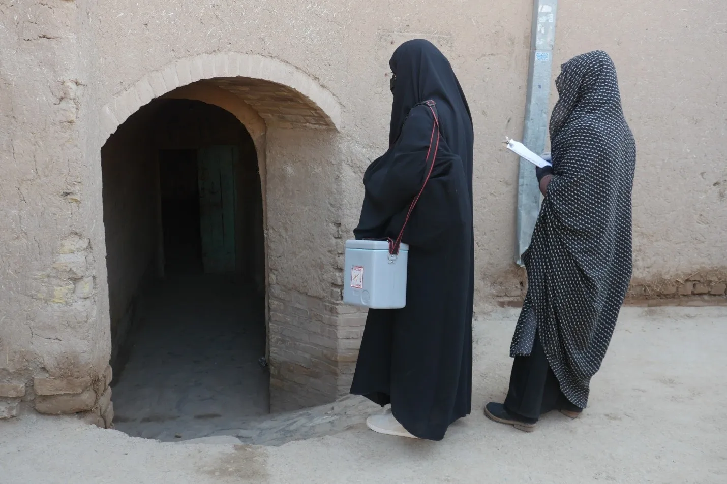 Control of Poliovirus in Herat: A Major Achievement by Female Vaccinators